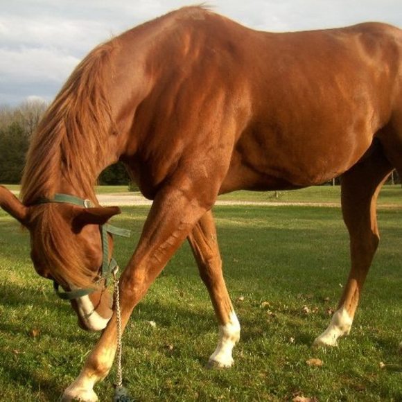 Meet your Posher, Jennifer - Picture 1 of 1